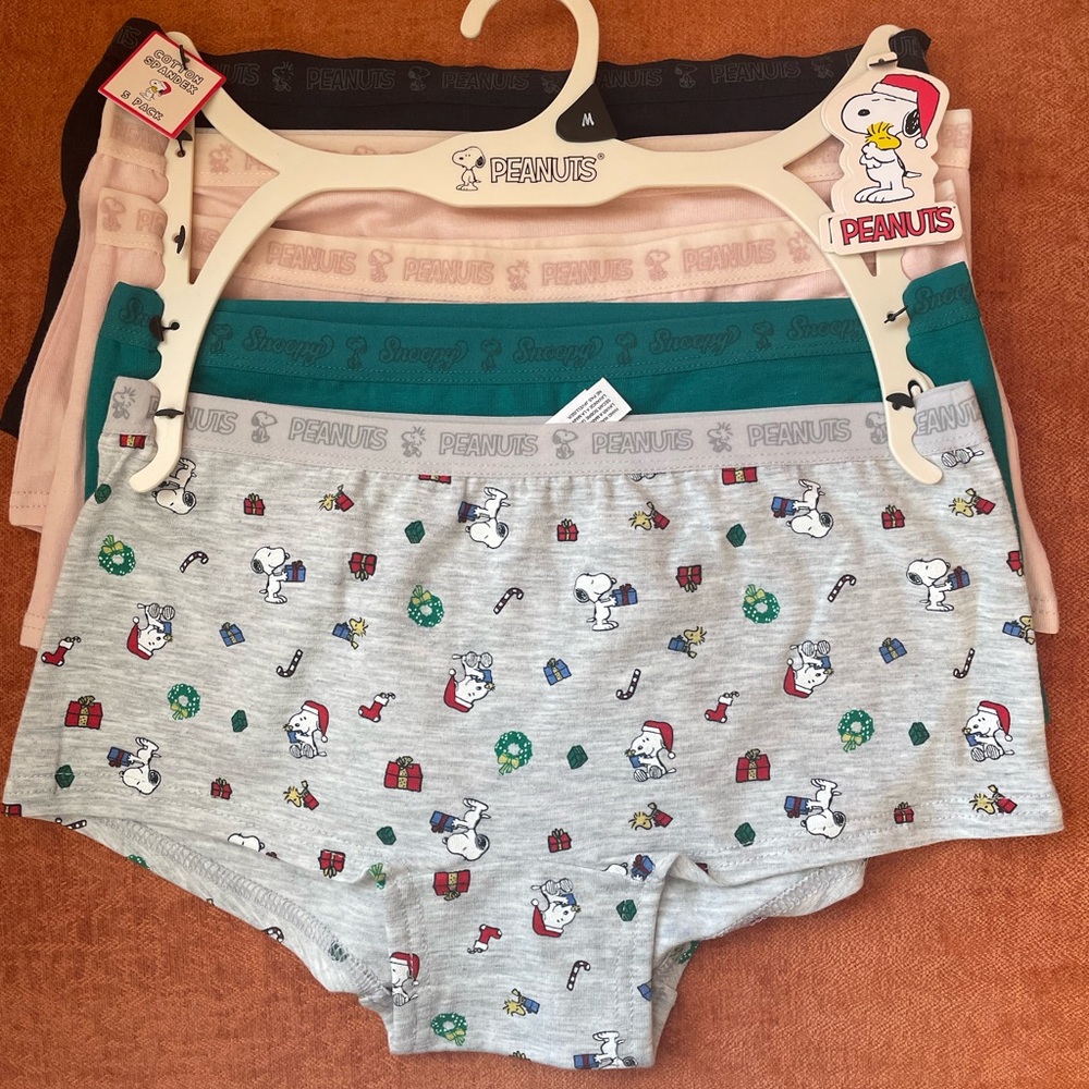 Set of 5 Women’s Medium Peanuts Gang Snoopy Holiday Underwear Set - Multicolor